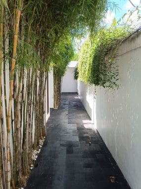 Pathway Anari
